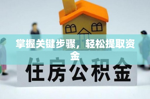 城子河掌握关键步骤，轻松提取资金