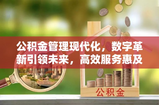 城子河公积金管理现代化，数字革新引领未来，高效服务惠及民生