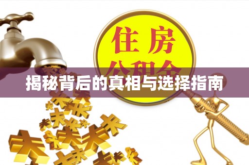 城子河揭秘背后的真相与选择指南
