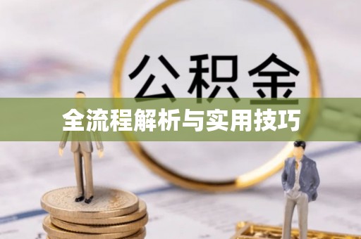 城子河全流程解析与实用技巧
