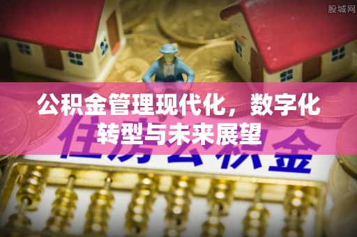 城子河公积金管理现代化，数字化转型与未来展望
