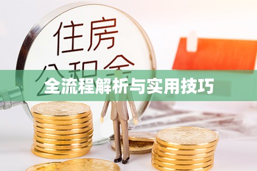 城子河全流程解析与实用技巧