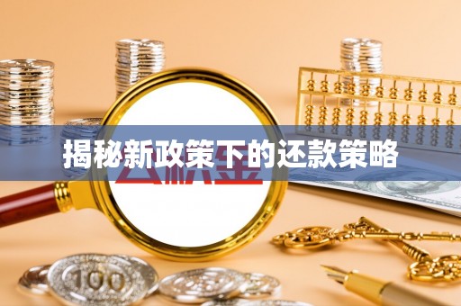 城子河揭秘新政策下的还款策略
