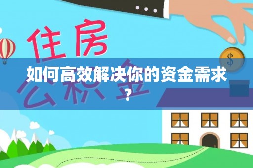 城子河如何高效解决你的资金需求？