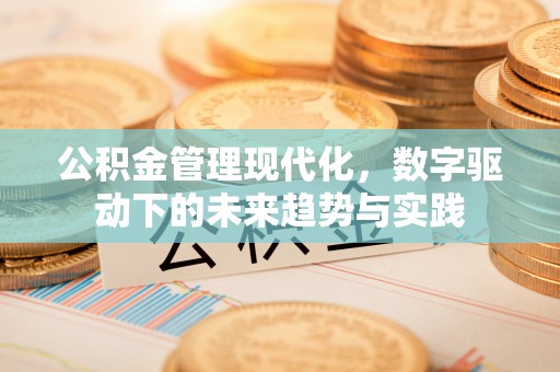 城子河公积金管理现代化，数字驱动下的未来趋势与实践
