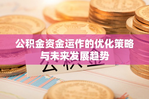 城子河公积金资金运作的优化策略与未来发展趋势