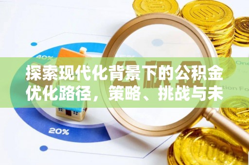 城子河探索现代化背景下的公积金优化路径，策略、挑战与未来展望