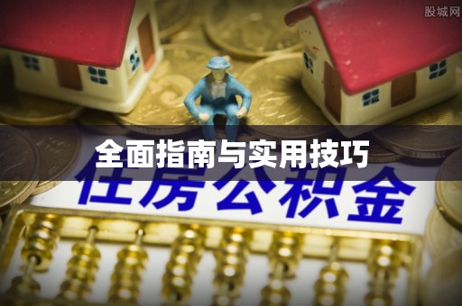 城子河全面指南与实用技巧
