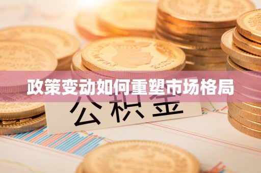 城子河政策变动如何重塑市场格局