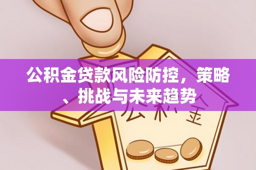 城子河公积金贷款风险防控，策略、挑战与未来趋势