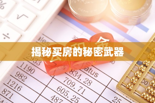 城子河揭秘买房的秘密武器