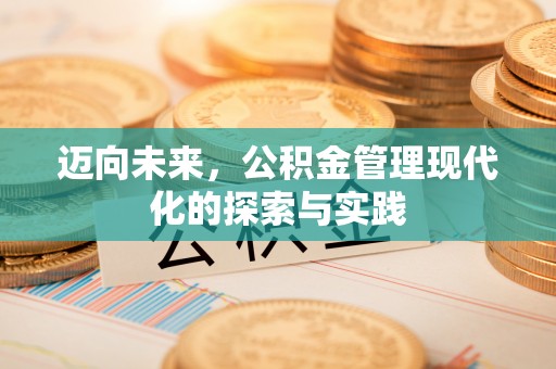 城子河迈向未来，公积金管理现代化的探索与实践