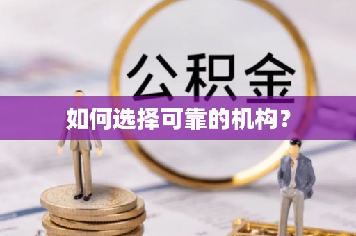 城子河如何选择可靠的机构？