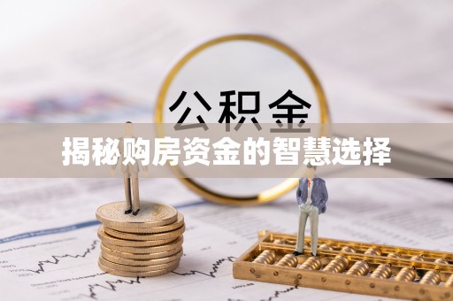 城子河揭秘购房资金的智慧选择