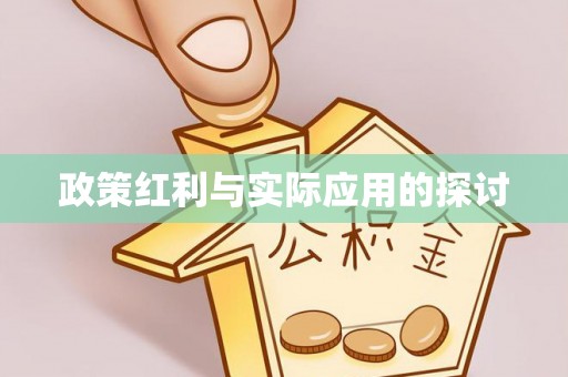 城子河政策红利与实际应用的探讨