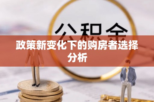 城子河政策新变化下的购房者选择分析