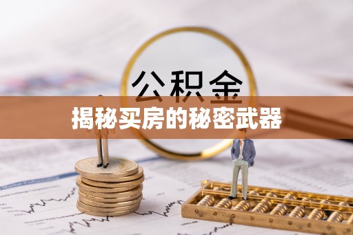 城子河揭秘买房的秘密武器