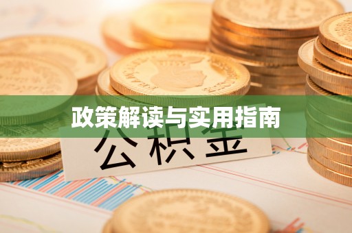 城子河政策解读与实用指南