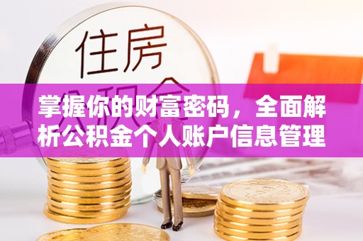城子河掌握你的财富密码，全面解析公积金个人账户信息管理