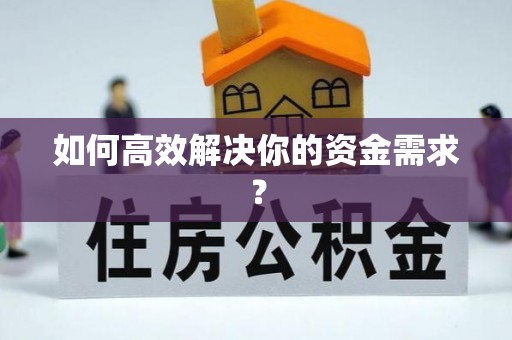 城子河如何高效解决你的资金需求？