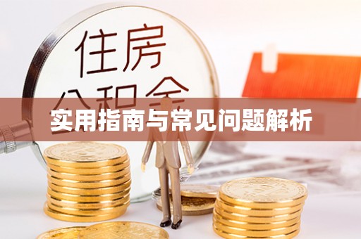 城子河实用指南与常见问题解析