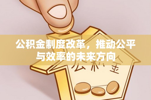 城子河公积金制度改革，推动公平与效率的未来方向