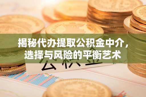 城子河揭秘代办提取公积金中介，选择与风险的平衡艺术