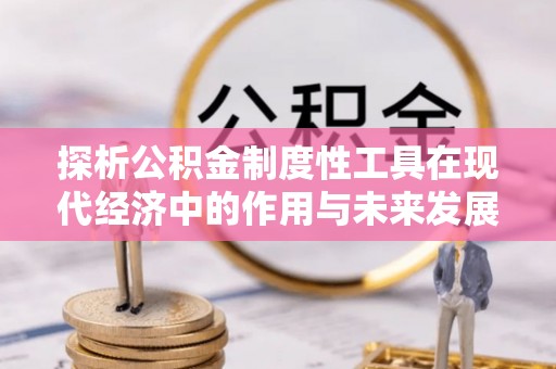 城子河探析公积金制度性工具在现代经济中的作用与未来发展趋势