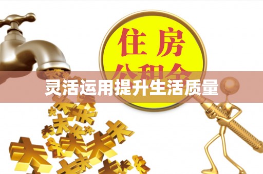 城子河灵活运用提升生活质量