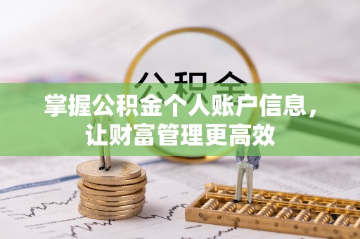 城子河掌握公积金个人账户信息，让财富管理更高效