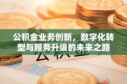城子河公积金业务创新，数字化转型与服务升级的未来之路