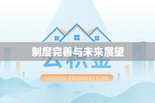 城子河制度完善与未来展望