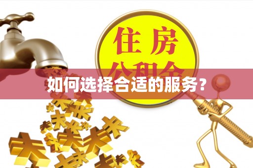 城子河如何选择合适的服务？