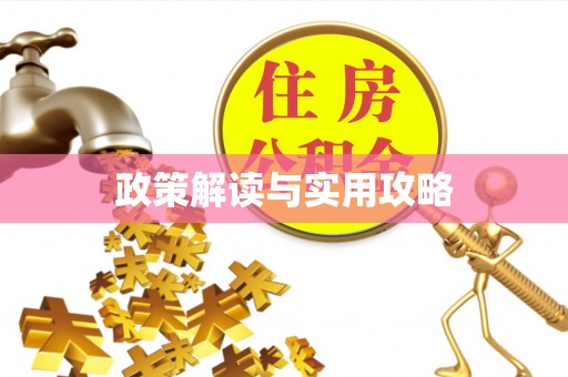 城子河政策解读与实用攻略