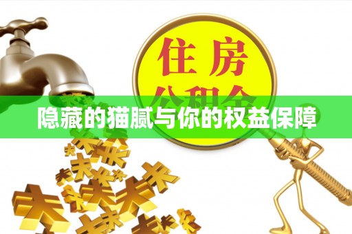 城子河隐藏的猫腻与你的权益保障