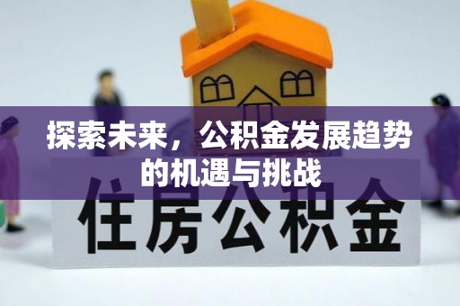 城子河探索未来，公积金发展趋势的机遇与挑战