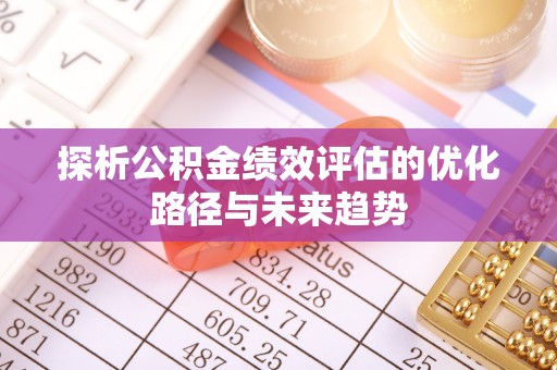 城子河探析公积金绩效评估的优化路径与未来趋势