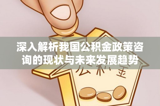 城子河深入解析我国公积金政策咨询的现状与未来发展趋势