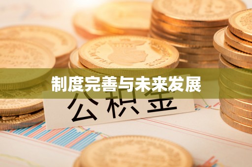 城子河制度完善与未来发展