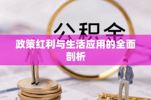 城子河政策红利与生活应用的全面剖析