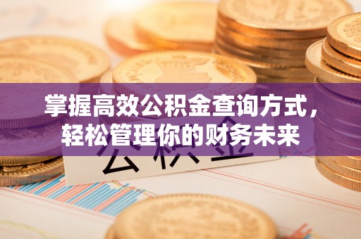城子河掌握高效公积金查询方式，轻松管理你的财务未来