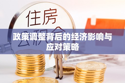 城子河政策调整背后的经济影响与应对策略