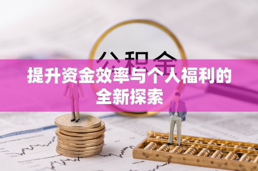 城子河提升资金效率与个人福利的全新探索