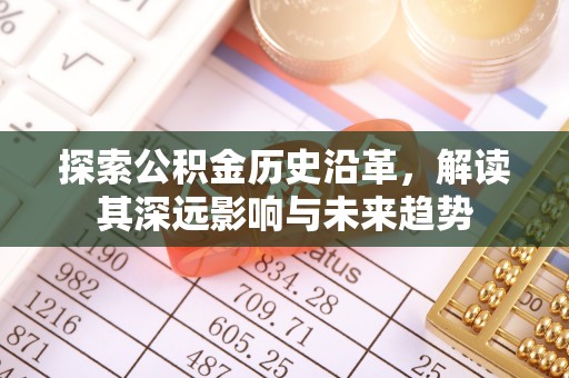 城子河探索公积金历史沿革，解读其深远影响与未来趋势