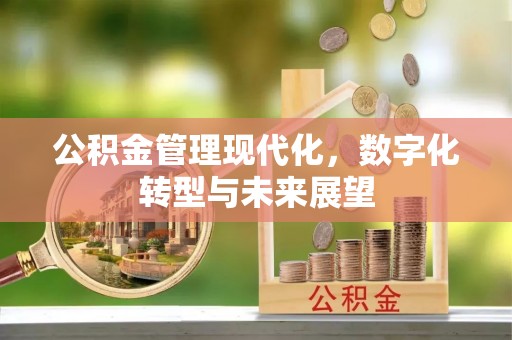 城子河公积金管理现代化，数字化转型与未来展望