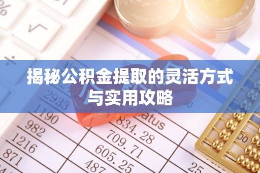城子河揭秘公积金提取的灵活方式与实用攻略