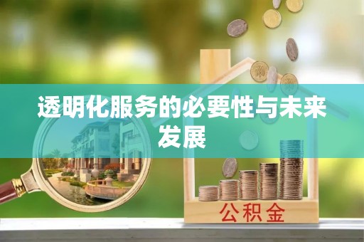 城子河透明化服务的必要性与未来发展