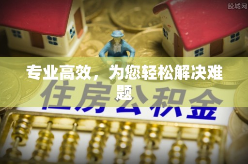 城子河专业高效，为您轻松解决难题