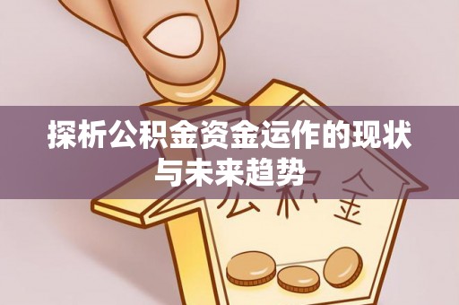 城子河探析公积金资金运作的现状与未来趋势