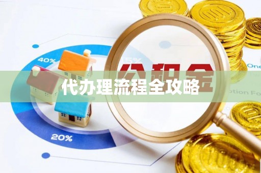 城子河代办理流程全攻略